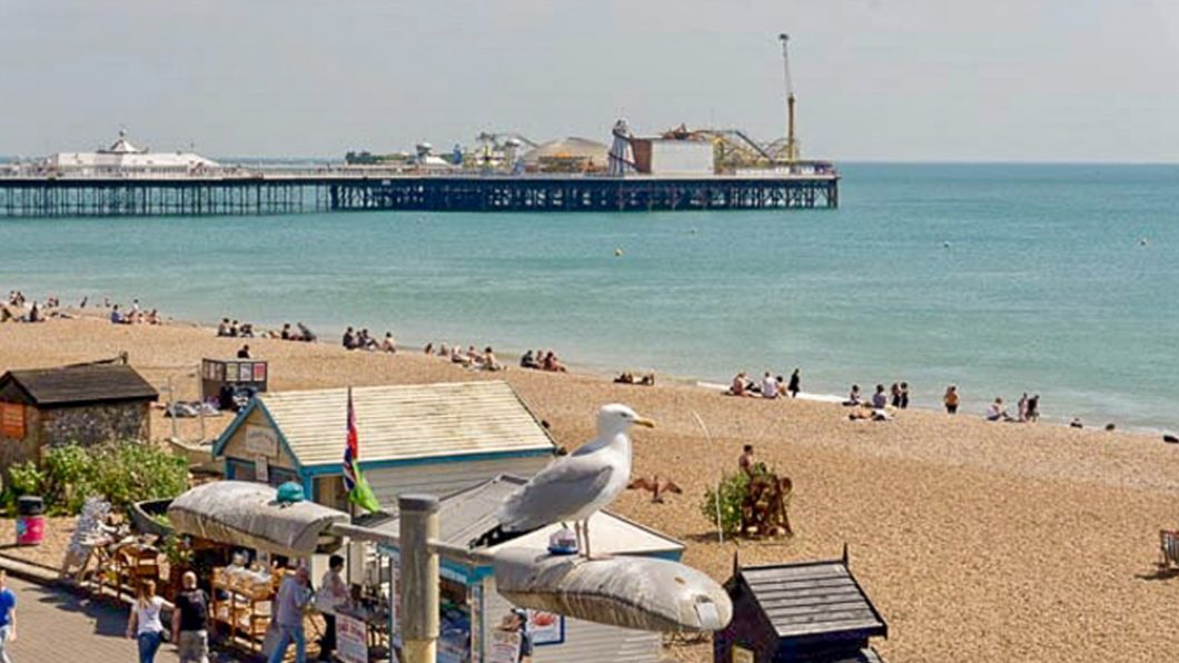 Vegan Food Guide: Brighton