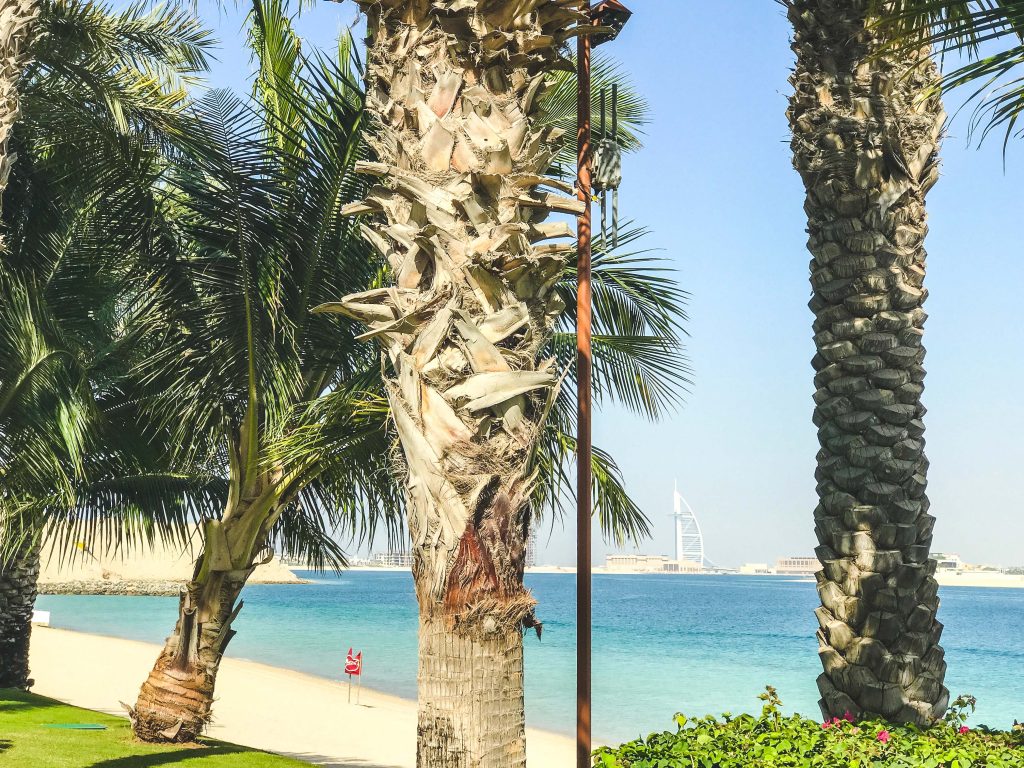 Dubai Vegan 2017 - Aquaventure Park - The Palm